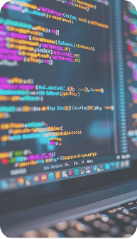 WEB-Разработчик